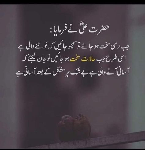 Motivational Quotes#Best Quotes in Urdu#Quotes in urdu Life Lesson Quotes In Urdu, Motivational Quotes Positive In Urdu, Motivational Quotes For Success In Urdu, Urdu Motivational Quotes, Ali Kay, Motivational Quotes For Success Positivity, Morals Quotes, Struggle Quotes, Motivational Quotes In Urdu