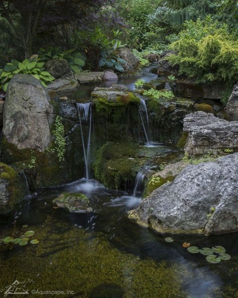 Garden Ponds Ideas, Ponds Ideas, Dream Water, Garden Ponds, Backyard Pond, Backyard Water Feature, Pond Design, Nature Hikes, Small Waterfall