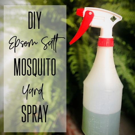 Epsom Salt Mosquito Spray Epsom Salt Diy, Natural Mosquito Spray, Homemade Mosquito Spray, Mosquito Yard Spray, Diy Bug Repellent, Mosquito Repellent Homemade, Diy Mosquito Repellent, Natural Mosquito Repellent, Mosquito Spray