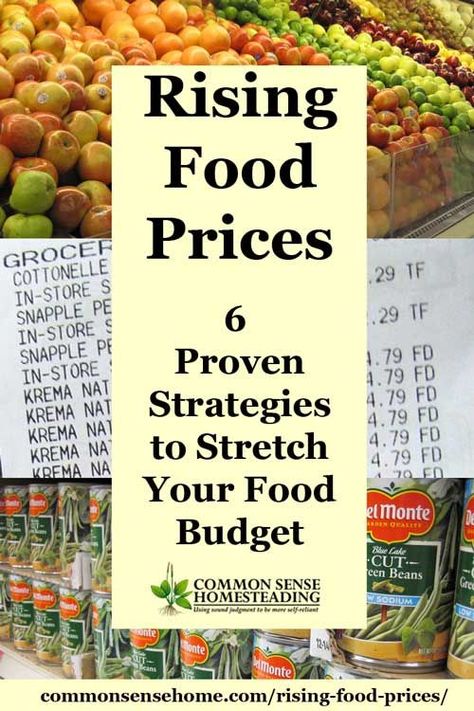 Rising Food Prices – 6 Proven Strategies to Stretch Your Food Budget. Let Artisan Farm Company show you how. www.artisanfarmcompany.com Meal Budget, Homesteading Diy, Food Budget, Food Cost, Homesteading Skills, Price Increase, Cooking On A Budget, How To Survive, Frugal Living Tips