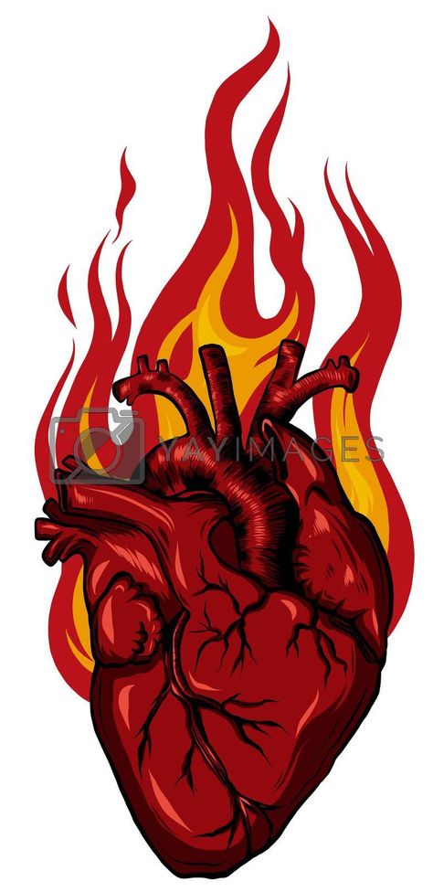 Burning Heart Drawing, Heart Drawing Tattoo, Usa Flag Wallpaper, Drawing Tattoo Ideas, Prophetic Painting, Fire Vector, Burning Heart, Image King, Haha Photos