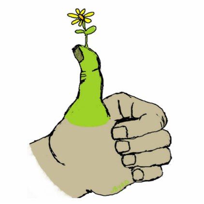 Gardener's Green Thumbs Up Cutout - gift idea custom Green Thumb Humor, Golden Hands, Drawing Help, Simple Products, Green Thumb, Gifts Ideas, Thumbs Up, Home Gifts, Mom And Dad