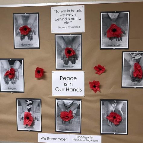 Anzac Day Crafts For Preschoolers, Anzac Day Activities For Kindergarten, Remembrance Day Decorating Ideas, Kindergarten Poppy Art, Anzac Day Art Kindergarten, Peace Crafts Preschool, Anzac Day Activities For Kids, Rememberance Day Bulletin Board Ideas, Poppy Crafts For Kids Veterans Day