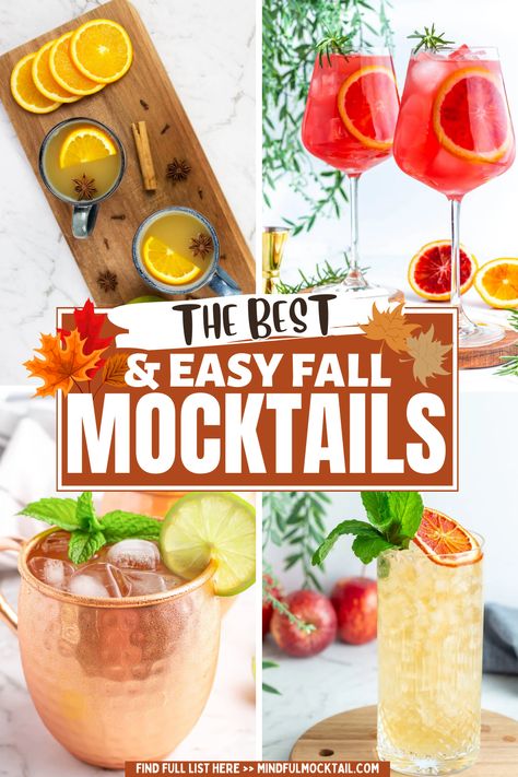 Tailgate Mock Tails, Best Mocktails For Fall, Healthy Fall Mocktail, Dry Mocktails, Easy Fall Mocktail Recipe, Easy Mocktail Recipes Fall, Mocktail Sangria Non Alcoholic, Nonalcoholic Mimosa, Seasonal Mocktails