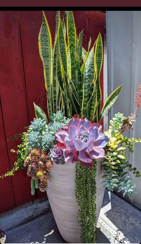 Wall Succulent Planter Outdoor, Pot Arrangements Planters, Large Diy Planters, Christmas Front Porch Ideas, Potted Plants Patio, Patio Flowers, Container Garden Design, Succulent Garden Design, Potted Plants Outdoor