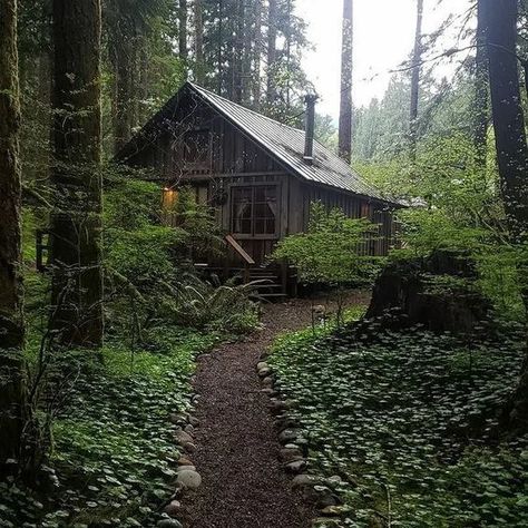 Houses In The Forest Aesthetic, Cabin In The Forest Aesthetic, Living In The Forest Aesthetic, Coffinwood Aesthetic, Small Forest Cottage, House In Forest Aesthetic, Dark Wood Cabin, House In The Forest Aesthetic, House In Forest Cottages