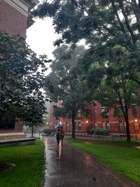 Harvard Fall Aesthetic, University Romance Aesthetic, Old Money University Aesthetic, Harvard Summer School, Ivy College Aesthetic, Ivy League College Aesthetic, Boston Student Aesthetic, Ivy League School Aesthetic, Harvard Manifestation