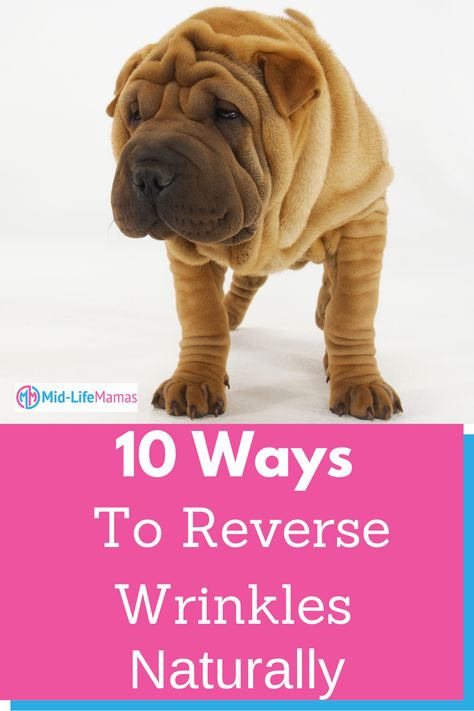 10 Ways to Reverse Wrinkles Naturally And Not Look Sad - Reverse Wrinkles, High Antioxidant Foods, Premature Wrinkles, Chronic Cough, Getting More Energy, Erase Wrinkles, Facial Yoga, Yoga Tutorial, Coconut Health Benefits