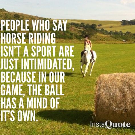 Horse Motivation, Cowgirl Sayings, Equine Quotes, Horse Memes, Horse Jokes, Inspirational Horse Quotes, Horse Riding Quotes, Quotes People, Equestrian Quotes