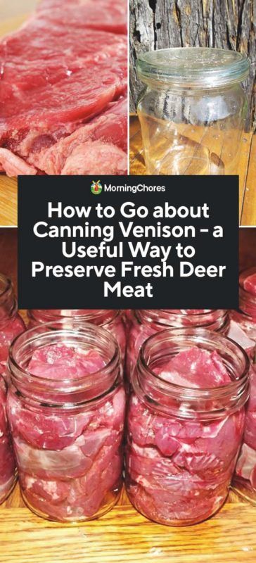 Canning Venison, Canned Venison, Canning Meat, Pressure Canning Recipes, Deer Recipes, Home Canning Recipes, Deer Meat Recipes, Canning Food Preservation, Marinated Salmon