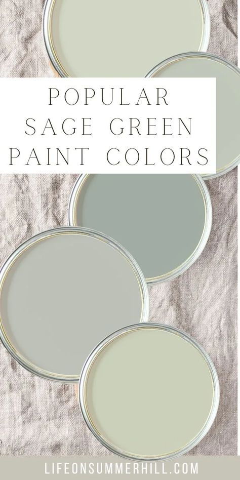 Bring the beauty of nature indoors with the best sage green paint colors. From light and airy hues that create a breezy feel to richer tones that make a dramatic statement, there's a perfect shade for your home. Get inspired with chic sage green decor ideas to complete your look!  Sharing Sherwin Williams, Benjamin Moore, Behr and Lick Paint most popular, most sold sage green colours.  These grey green hues are perfect for bedroom, bathroom, kitchen, cabinets, doors, walls, trim, & living room. Sherwin Williams Paint Colors Sage Green, Pale Green Sherwin Williams, Indoor Wall Paint Colors, Light Green Behr Paint Colors, Light Green Paint Colors Sherwin Williams, Sherwin Williams Light Sage Green Colors, Whitened Sage Behr Paint, Light Sage Green Paint Living Room, Shades Of Green Paint Bedroom