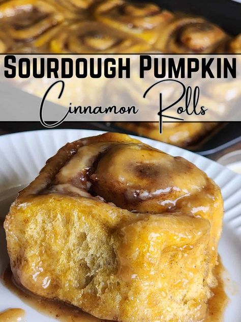 Sourdough Pumpkin Cinnamon Rolls with Caramel Glaze - The Proverbs Kitchen Flavored Cinnamon Rolls, Cinnomon Rolls, Homemade Sourdough Bread Recipes, Sourdough Pumpkin, Sourdough Cinnamon Rolls, Pumpkin Cinnamon Rolls, Caramel Glaze, Dough Ingredients, Sourdough Baking