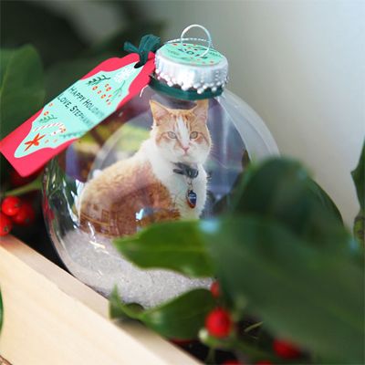 DIY Cat Ornaments You Can Make This Christmas! – Meow As Fluff Cat Diy Ornament, Diy Cat Ornaments Christmas, Diy Cat Ornaments, Cat Ornaments Diy, Diy Photo Ornaments, Diy Cat Food, Homemade Christmas Ornaments Diy, Diy Hello Kitty, Paw Print Ornament