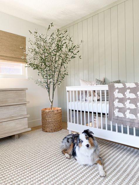 Olive Themed Nursery, Soft Green Nursery Gender Neutral, Neutral Sage Nursery, Grey Green Nursery, Green Theme Nursery, Light Sage Nursery, Light Green Nursery Gender Neutral, Olive Green Nursery Neutral, Light Green Nursery Boy