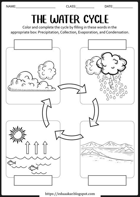 Water Cycle 3rd Grade, The Water Cycle Worksheet, Water Cycle Coloring Page, Science Worksheets For 3rd Grade, Precipitation Diagram, Water Art Activities, English Manipulatives, Uses Of Water Worksheet For Kids, Science Worksheets Grade 2