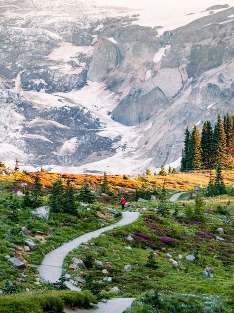 3 BEAUTIFUL National Parks Near Seattle (Expert Guide + Photos) National Parks Near Seattle, Beautiful National Parks, Diablo Lake, National Parks America, Beautiful Parks, Cascade National Park, North Cascades National Park, Temperate Rainforest, Alpine Meadow