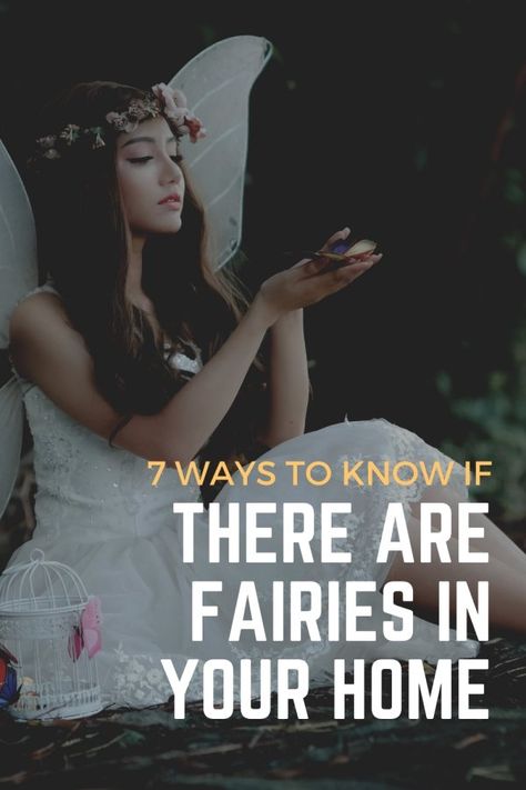 Fairies In Your Home| 7 Signs Fairies Are Near You Fairy Circle Meaning, Fairy Lore Legends, Spiritual Meaning Of Fairies, Real Fairy Pictures, Are Fairies Real, Fairy Offerings, Books About Fairies, Water Fairies, Fairy Lore