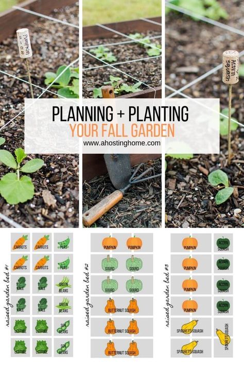 Planning and Planting Our Fall Garden / ahostinghome.com // fall garden, fall gardening, fall garden flowers, fall garden vegetables, fall garden ideas, fall garden georgia, fall garden texas, fall garden landscape, fall garden in the south, fall garden zone 7, fall garden september, fall garden bed, fall garden raised bed, fall garden layout, fall garden design, fall garden tips, fall garden preparation, fall garden inspiration, fall garden for beginners, fall garden planting Texas Fall Garden, Fall Garden Preparation, Fall Garden Planting, Georgia Fall, Garden Preparation, September Fall, Tattoo Plant, Fall Gardening, Backyard Garden Layout