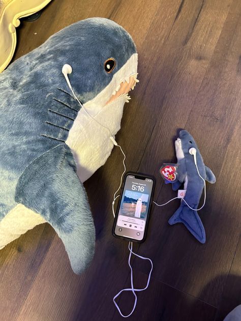 Scott street 
Sharks 
BLÅHAJ
Phoebe Bridgers 
Stranger in the alps
Music Shark With Headphones, Cute Shark Stuff, Shark Matching Pfp, Blahaj Shark, Sharks Cute, Tomte Tummetott, Stuffed Shark, Silly Sharks, Ikea Shark