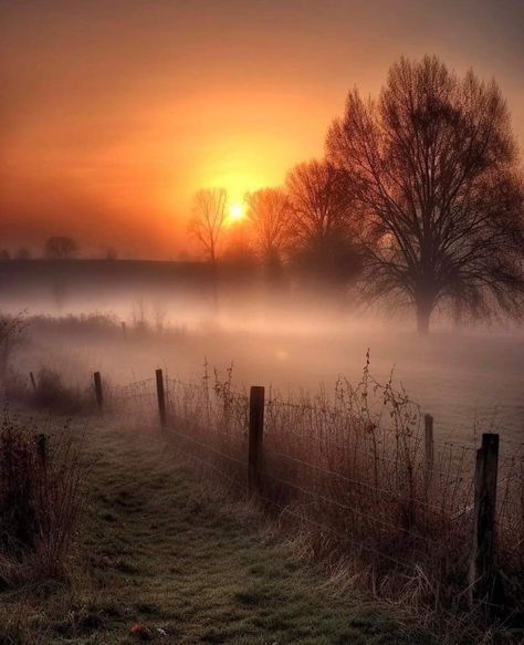 Misty Dawn, William Turner, Gorgeous Sunset, Autumn Painting, Natural Life, Landscape Photos, Nature Travel, Beautiful Photography, Beautiful Landscapes