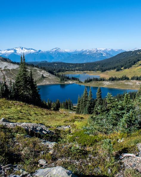 Go on one of the most beautiful trails in Canada and possibly in the world! The Panorama Ridge hike in Garibaldi Lake Provincial Park offers stunning views of a bright blue lake surrounded by jagged mountain peaks. Read everything you need to know about Panorama Ridge including the best time to hike it, what to pack, how to get a campsite at Garibaldi Lake, and how to get a free day use permit at Garibaldi Lake. You need to add this hike to your bucket list! Grassi Lakes Canmore, Panorama Ridge, Columbia River Gorge Hikes, Blue Ridge Parkway Hikes, Garibaldi Lake Canada, Navarone Garibaldi, Emerald Lake, Mountain Peak, Free Day