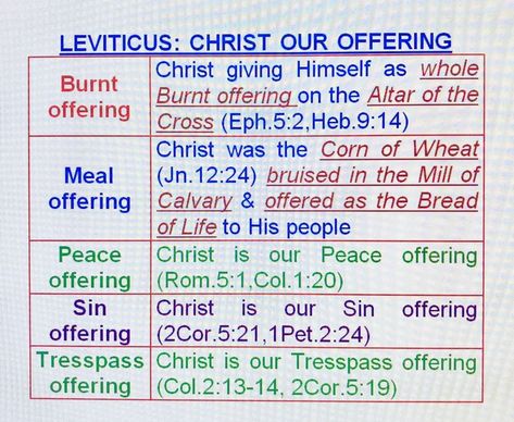 Book Of Leviticus, Lds Primary Lessons, Bible Study Help, Online Bible Study, Bible Study Plans, Hebrew Bible, Bible History, Bible Study Notebook, Christian Bible Study