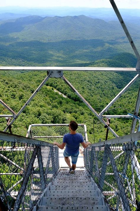 Asheville Hikes, North Carolina Hiking, Tenda Camping, North Carolina Travel, The Appalachian Trail, Asheville North Carolina, The Perfect Day, Appalachian Trail, Blue Ridge Mountains