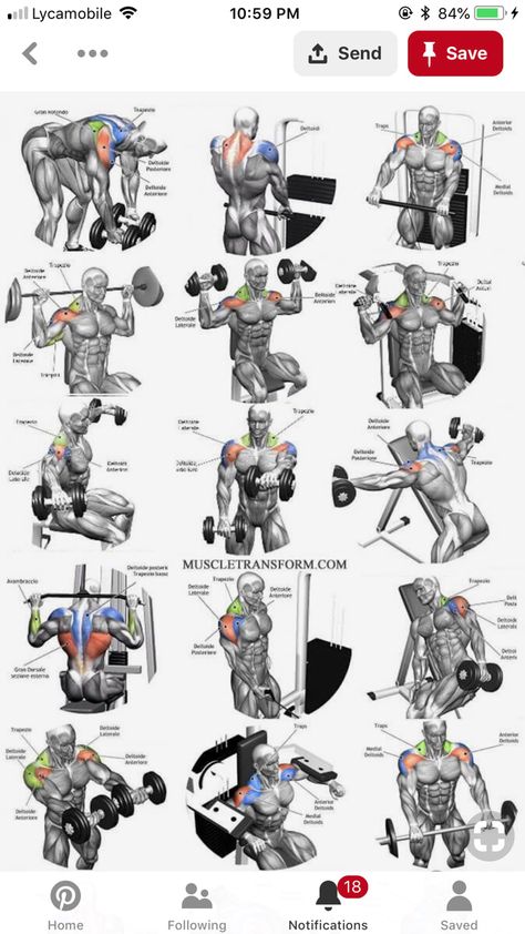 Garage Workout, Korean Diet Plan, Weight Lifting Program, Traps Workout, Shoulder Workouts, Best Shoulder Workout, Gym Workout Planner, Bodybuilding Workout Plan, Gym Workout Chart