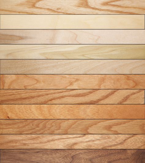 Each species of wood has unique finishing characteristics, both positive and negative. To help you determine how to choose the right wood and get the best results when you finish your next project, I’… Woodworking Finishes, Wood Finishing Techniques, Wood Finishing, Diy Pipe, White Picket Fence, Woodworking Magazine, Built In Furniture, Bbq Smokers, Popular Woodworking