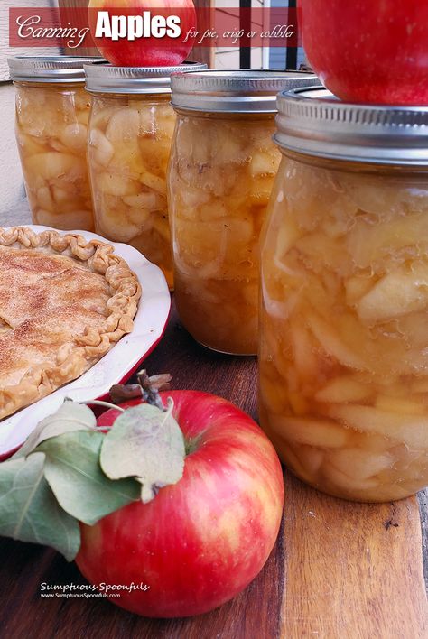 Canning Apples for Pie, Crisp or Cobbler | Sumptuous Spoonfuls Cinnamon Apples For Canning, Apple Crisp Recipe With Canned Apples, Cobbler With Canned Pie Filling, Apples For Pie, Canned Pie Filling, Canning Apple Pie Filling, Canning Apples, Pepper Jam, Apple Pie Filling Recipes