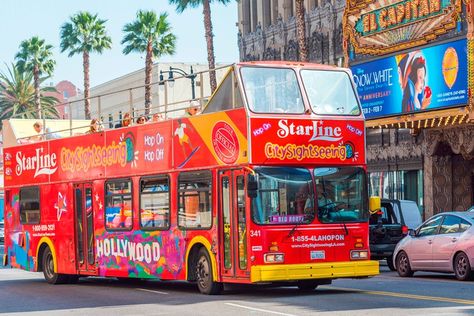 Hop-On Hop-Off Bus Hollywood - Los Angeles | City Sightseeing© Los Angeles Hollywood, Ny Trip, Decker Bus, Sightseeing Bus, Bus Tour, Los Angeles City, Double Decker Bus, Red Bus, Cruise Destinations