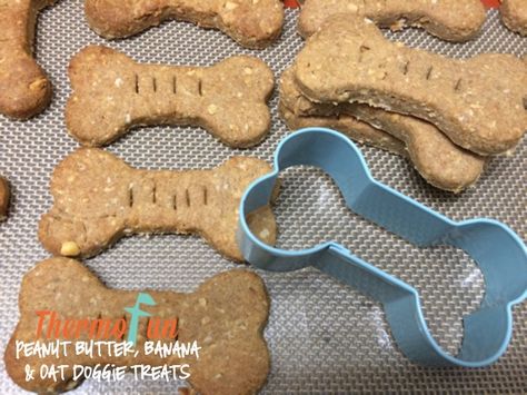 ThermoFun – Member Spotlight – Peanut Butter, Banana and Oat Doggy Treats Recipe Doggy Treats Recipe, Peanut Butter Banana Oats, Homemade Dog Cookies, Coconut Macaroons Recipe, Doggy Treats, Peanut Butter Banana Smoothie, Decadent Food, Coconut Peanut Butter, Doggie Treats