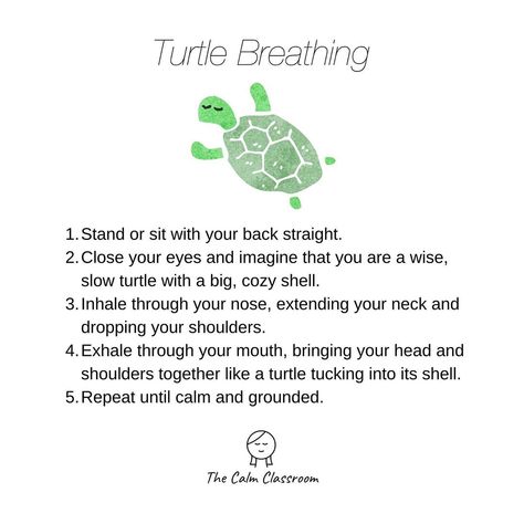 The Calm Classroom on Instagram: “Love some turtle breathing on a Sunday — anybody else retreating into their shell today? 🐢 This is a great exercise to relieve tension in…” The Calm Classroom, Calming Breathing Techniques, Calm Breathing Techniques, Mindfulness Breathing Exercises, Deep Breathing Exercises For Kids, Mindful Breathing For Kids, Counselling Activities, Turtle Classroom, Mindfulness Classroom