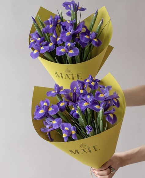 Iris Flowers Bouquet, Bouquet Of Violets, Purple Iris Flowers, Iris Bouquet, Single Flower Bouquet, Purple Flower Bouquet, Purple Wedding Decorations, Viola Flower, Yellow Bouquets