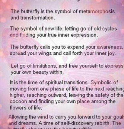 61 trendy tattoo butterfly meaning words #tattoo Butterfly Meaning, Spiritual Tattoo, Butterfly Tattoo Meaning, Animal Spirit Guide, Tattoo Butterfly, Butterfly Quotes, Spiritual Tattoos, Tattoo Designs And Meanings, Tattoo Meaning