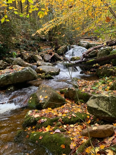 Nature hike, fall, waterfall, warm aesthetic, moss, autumn Summer To Fall Aesthetic, Warm Personality Aesthetic, Chloecore Aesthetic, Warm Autumn Aesthetic, Fall Hiking Aesthetic, Scottish Aesthetic, Naturecore Aesthetic, Fall Waterfall, Autumn Hike