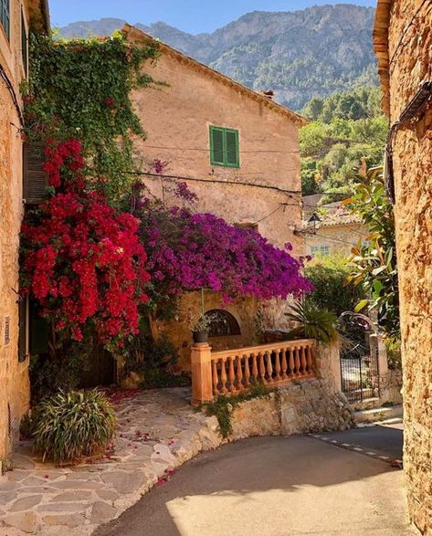 Mallorca | Palma | Travel | Spain on Instagram: "Some sort of heaven 🌸🌼🌺 Deià 📍 via @lynneharkes" Deia Mallorca, Palma Spain, Travel Spain, Mallorca Spain, Vacation Places, Spain Travel, Pretty Places, Travel Bucket List, Climbing