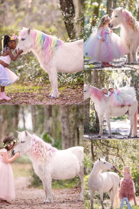 Horse Unicorn Photoshoot, Unicorn Birthday Pictures, Unicorn Mini Session, Pony Photoshoot Children, Unicorn Photoshoot Ideas, Unicorn Photoshoot, Unicorn Photography, Luxury Horse Barns, Horse Photoshoot Ideas