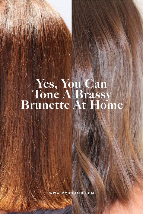 Yes, You Can Tone A Brassy Brunette At Home  Tired of brassy hues in your brunette hair? 💧 Find out how to achieve a cooler, balanced look at home. 💧 Get rid of unwanted warm tones and refresh your brunette. 💧 Explore our blog for at-home toning solutions and tips. 💧 Transform your brassy brunette into a sleek, balanced shade. At Home Hair Toner, Brassy Brunette, Toner For Brown Hair, Tone Hair At Home, Brassy Blonde Hair, How To Dye Hair At Home, Brassy Blonde, Brassy Hair, Hair Color Remover