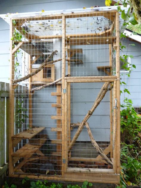 Katt Diy, Katt Grejer, Kat Diy, Cat Area, Cat Fence, Cat Patio, Outdoor Cat Enclosure, Cat Run, Cat Cages