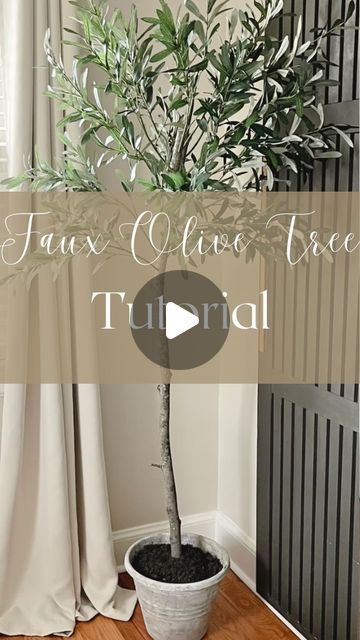 Faux Olive Tree Indoor Diy, Olive Tree Diy, Diy Faux Olive Tree, Olive Tree Living Room, Diy Faux Tree, Diy Olive Tree, Olive Tree Decor, Faux Tree Branches, Faux Olive Trees