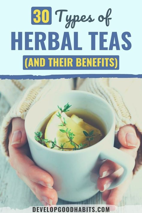 Tea Benefits Chart, Teas And Their Benefits, Tea Blends Recipes, Herbal Tea Garden, Lemonade Diet, Herbal Tea Benefits, Best Herbal Tea, Medicinal Tea, Healing Tea