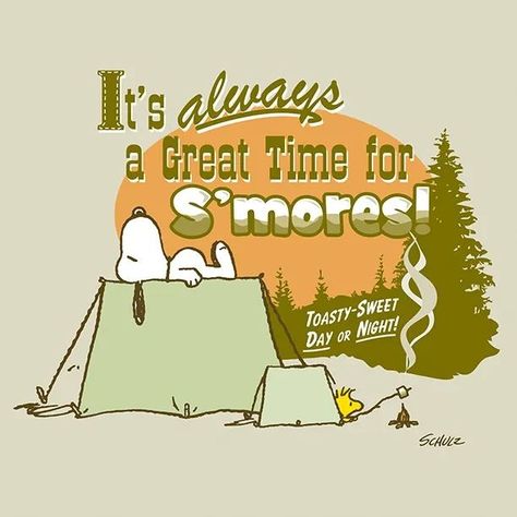 Thanksgiving Cartoon, Camping Classroom, Cricut Projects Easy, Camper Art, Camp Snoopy, Food Cartoon, Snoopy Images, Snoopy Wallpaper, Snoopy Pictures