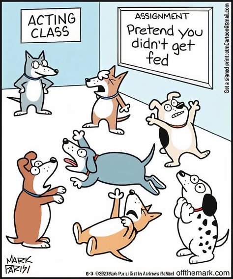 Sometimes all we need is a good laugh to make our problems feel less heavy. Mark Parisi, Dog Comics, Dog Jokes, Single Humor, Cartoon Dog, Dog Quotes, Funny Animal Pictures, Funny Cartoon, Funny Cartoons