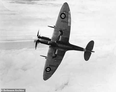 How the Germans created the ultimate fighter plane during WWII with captured British Spitfire | Daily Mail Online Aviation Image, Wwii Fighter Planes, Ultimate Fighter, Wwii Fighters, Wwii Plane, Supermarine Spitfire, British Aircraft, Ww2 Planes, Air Forces