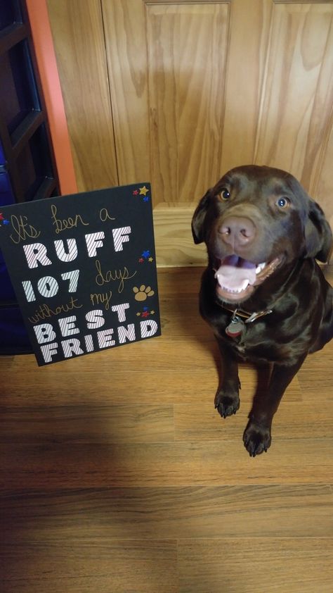 Military welcome home sign from the pup! #mansbestfriend Deployment Welcome Home Signs, Welcome Home From Jail Ideas, Welcome Home Military Signs, Deployment Posters, Military Welcome Home Signs, Missionary Homecoming Posters, Army Welcome Home, Welcome Home Signs For Military, Deployment Homecoming Signs