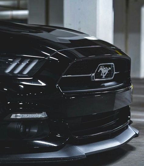 Ford Mustang Black Mustang Gt500 Black, Ford Mustang Eleanor, Ford Mustang 1969, Shelby Mustang Gt500, Black Mustang, Mustang Car, Corsa Classic, 1967 Mustang, Mustang Gt500