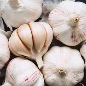 Fresh Garlic, A Kitchen, Garlic