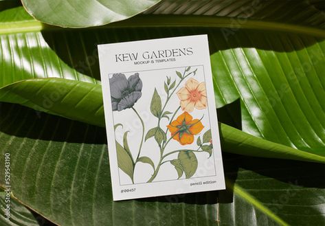 Stock Image: A6 Vertical Postcard Mockup on Green Plant Background Green Plant Background, Vertical Postcard, Postcard Mockup, 동화 삽화, Plant Background, Kew Gardens, Mockup Templates, Mini Paintings, Green Plants