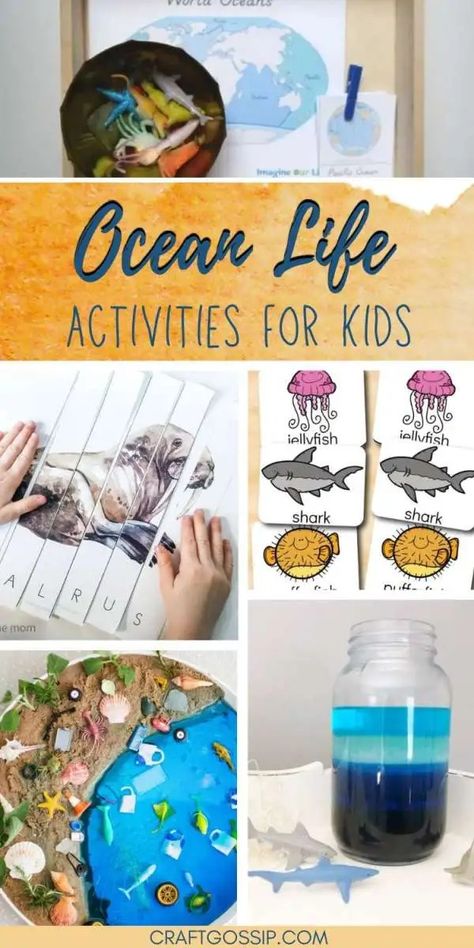 Ocean Unit Studies and Activities – Lesson Plans Ocean Lesson Plans, Layers Of The Ocean, Activity Village, Knitting Quilt, Unit Studies Homeschool, Indie Craft, Ocean Unit, Flag Coloring Pages, Ocean Activities